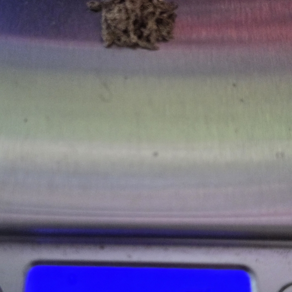 2 Broken 14k Gold Neclaces - Picture 12 of 13